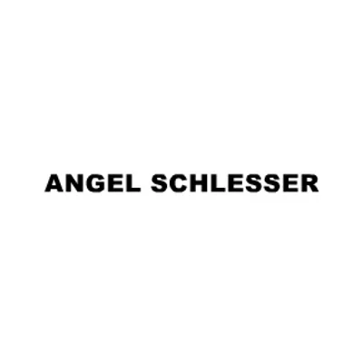 Angel Schlesser logo
