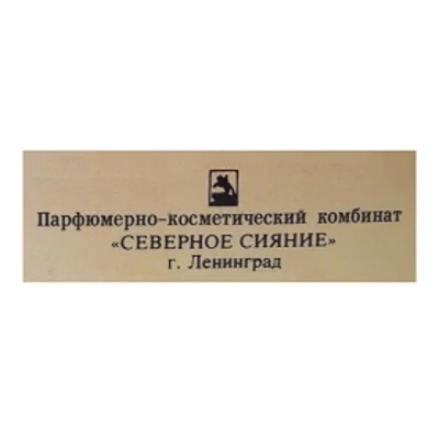 Северное сияние logo
