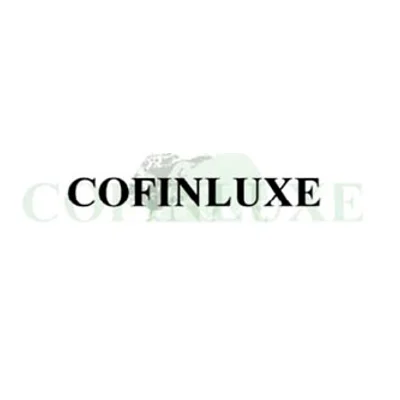 Cofinluxe logo