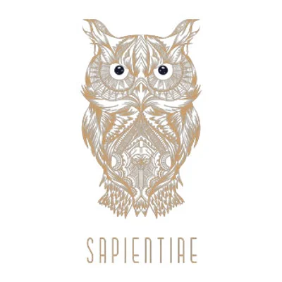 Sapientiae Niche logo