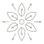 Shy Mimosa Perfumery logo