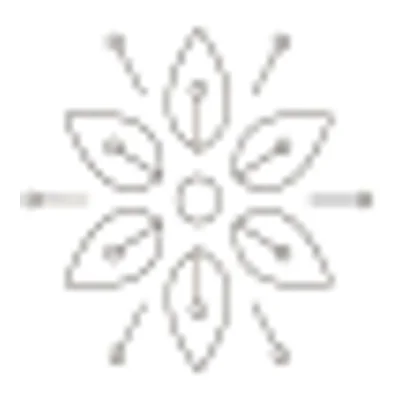Shy Mimosa Perfumery