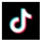 TJ Talks Scents logo
