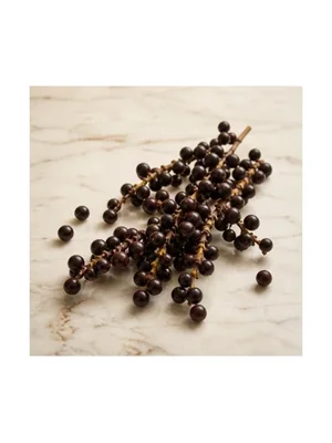 Acai Berry
