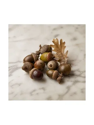 Acorn