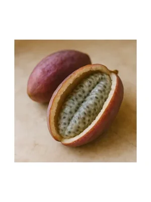 Akebia Fruit