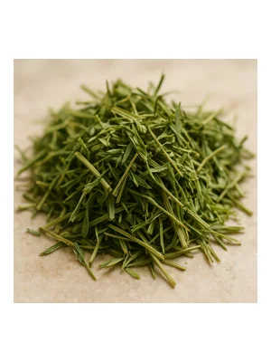 Alfalfa