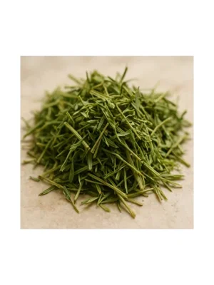 Alfalfa
