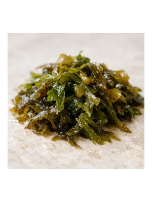 Algae