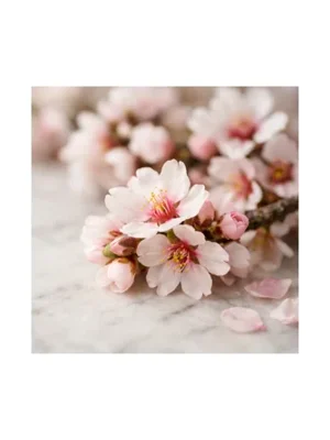 Almond Blossom