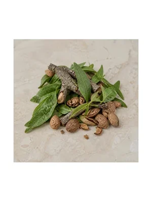 Almond Tree