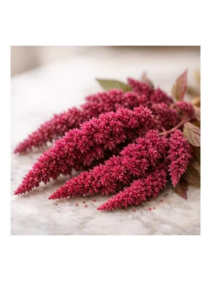 Amaranth