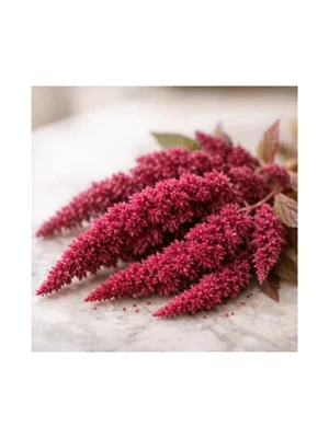 Amaranth