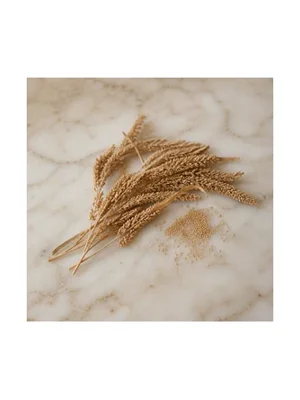 Amaranth