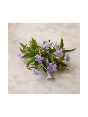 Amethyst Flower