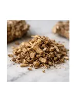Angelica