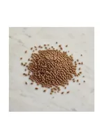 Anise