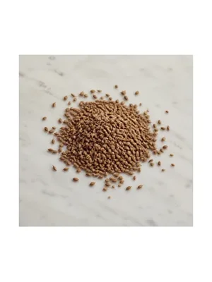 Anise