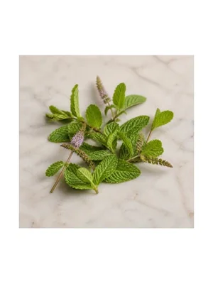 Apple Mint
