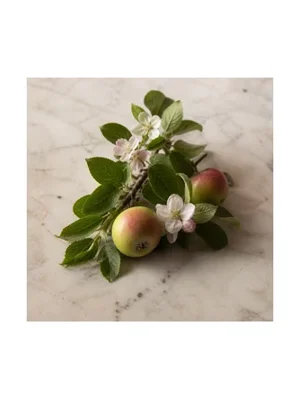Apple Tree