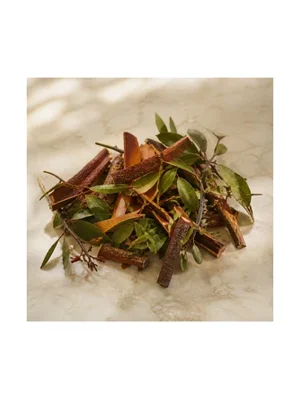 Arbutus (Madrona, Bearberry Tree)