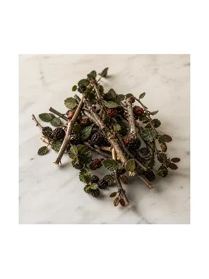 Arctic Bramble
