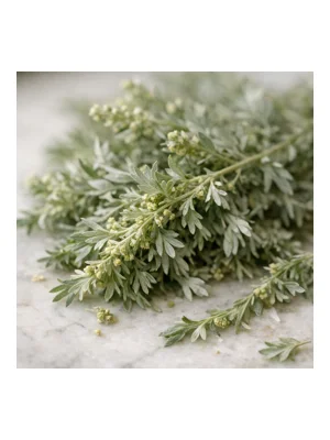 Artemisia