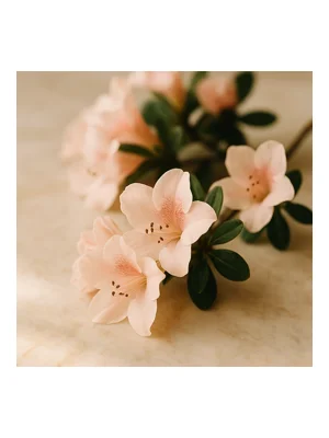 Azalea