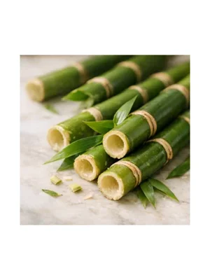 Bamboo