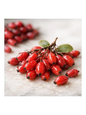 Barberry