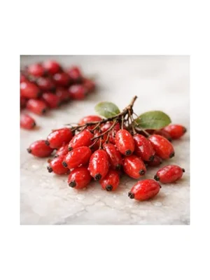 Barberry
