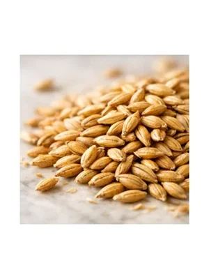 Barley