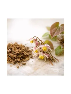 Barrenwort