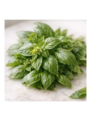 Basil