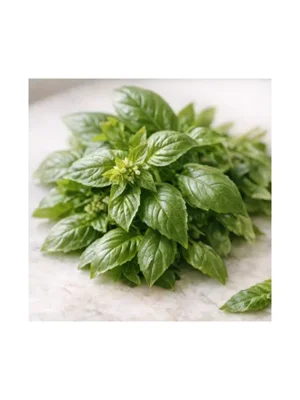 Basil