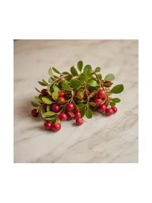 Bearberry