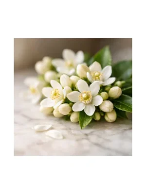 Bergamot Blossom