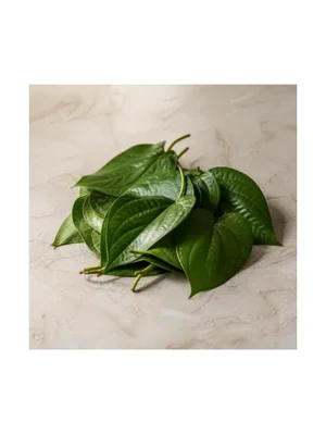 Betel Leaf