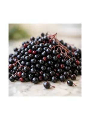 Black Elder