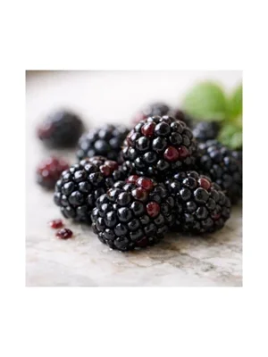 Blackberry