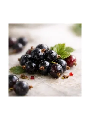 Blackcurrant