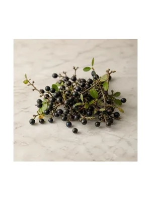 Blackthorn