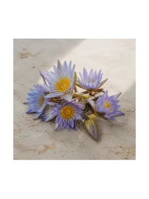 Blue Lilies