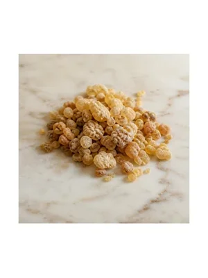 Boswellia Frereana