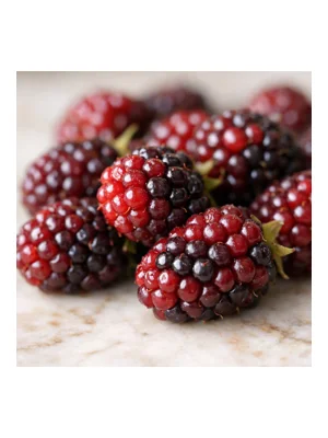 Boysenberry