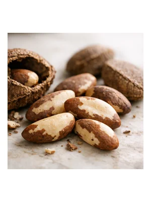 Brazil Nut