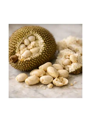 Breadnut