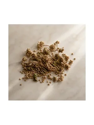 Buckwheat