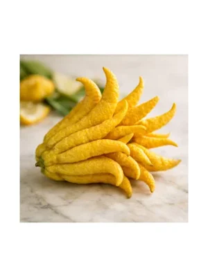 Buddha's Hand