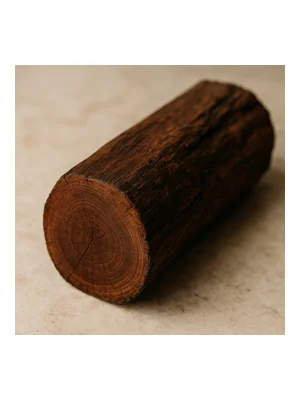 Bulletwood Tree